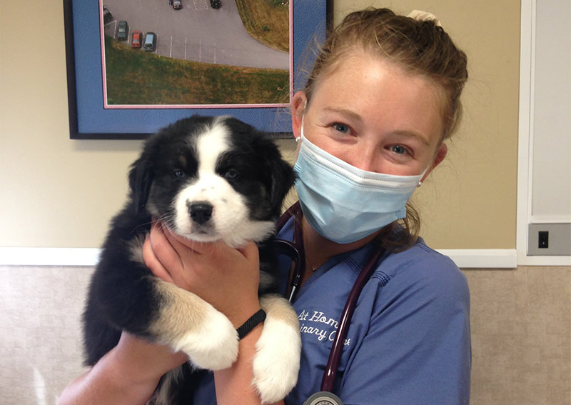 Dog Veterinary Care, West Gardiner
